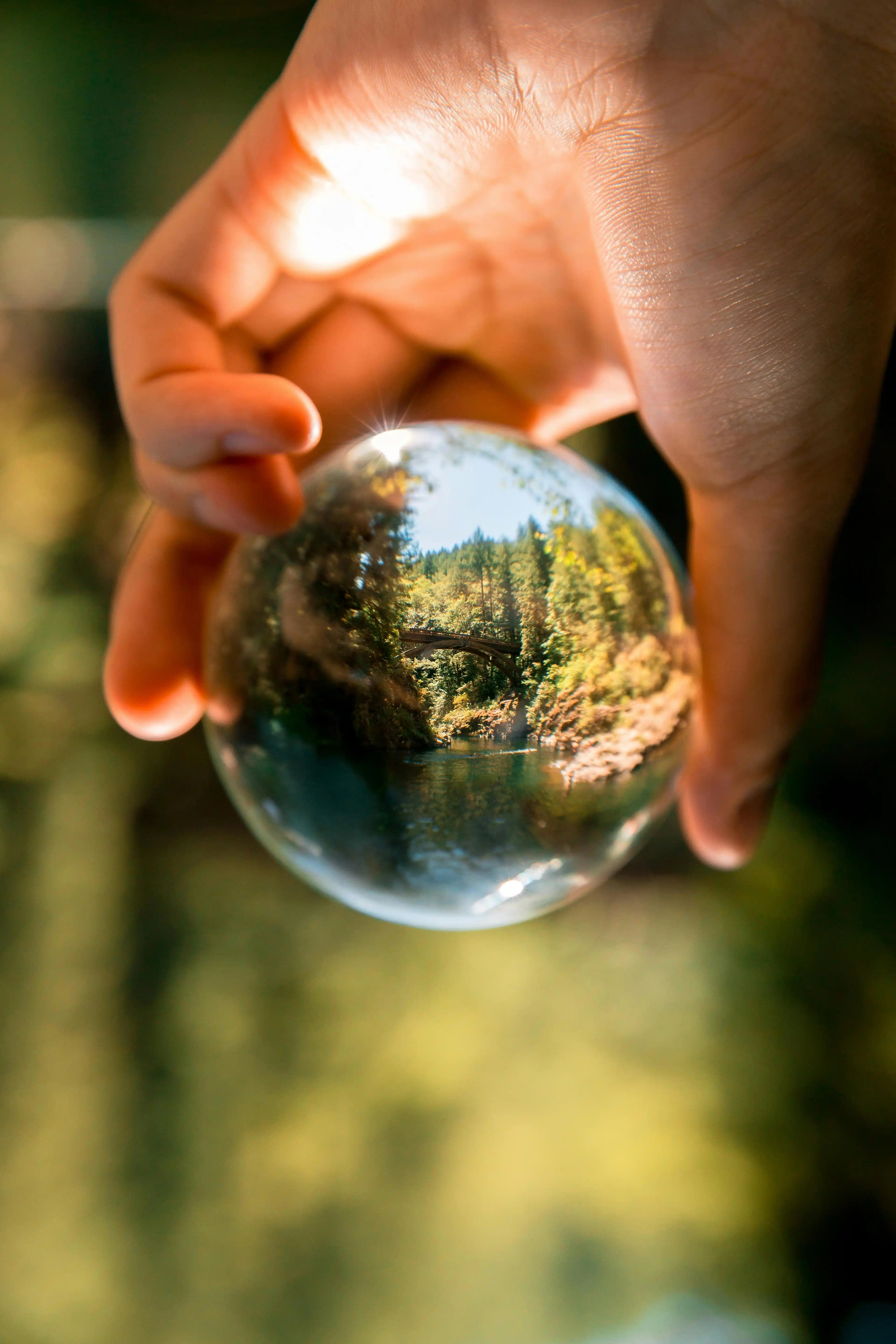 environmental earth
